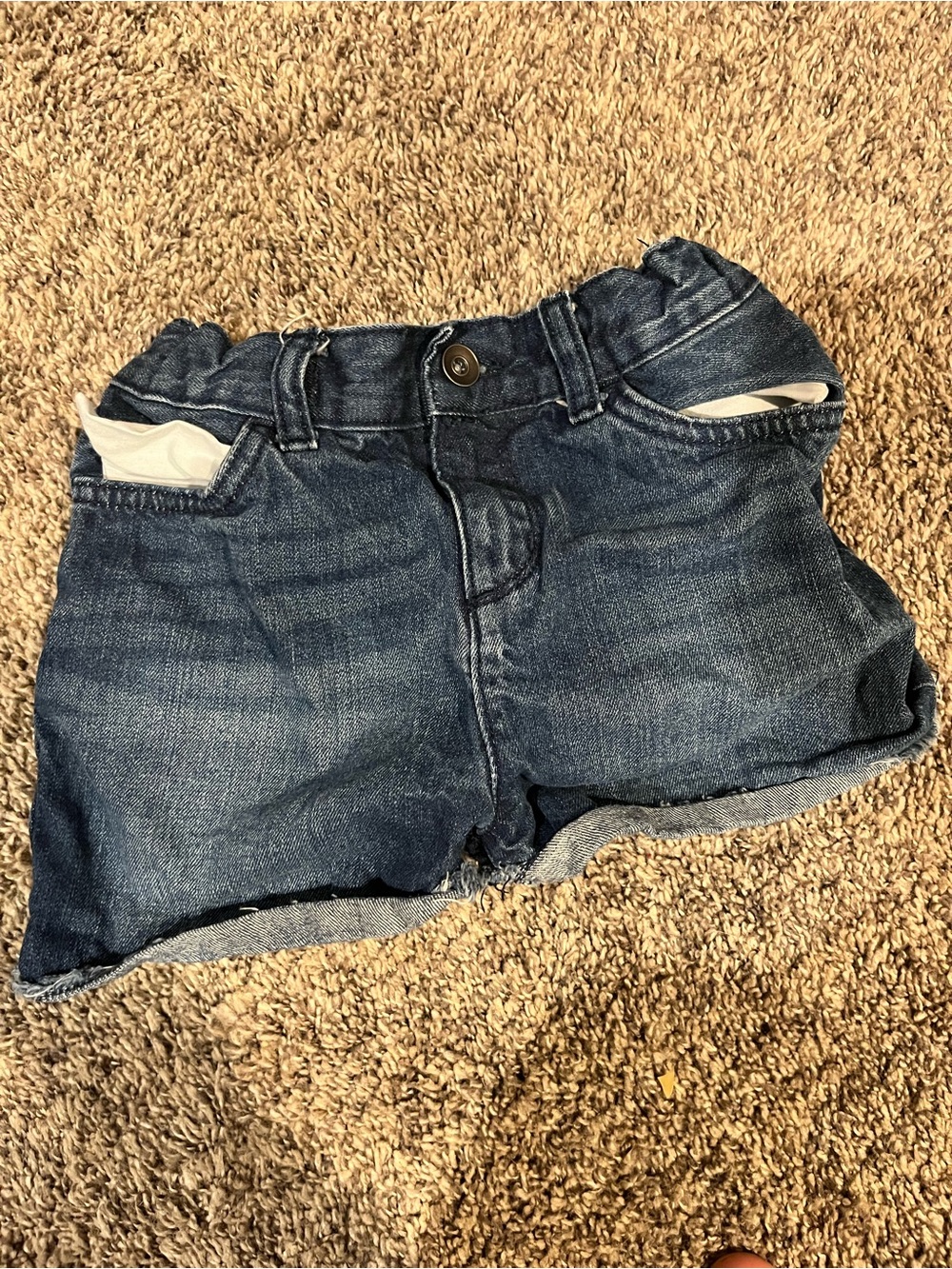 Place Dark Blue Denim Shorts with Roll Cuffs